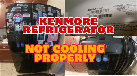 freon leak mini fridge|How To Detect And Prevent Freon Leaks In Your Fridge: A。